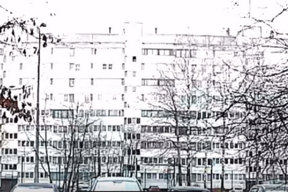 Жители Петербурга считают, что из окна дома на улице Демьяна Бедного кто-то вытолкнул человека. Фото: vk.com/kalininskij_proisshestviy