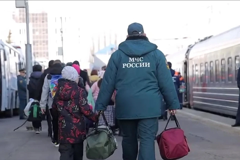 Более 400 детей из Белгорода приехали в Липецкую область