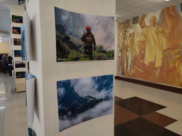 В Ульяновской научной библиотеке имени Ленина открылась фотовыставка «Останови огонь»