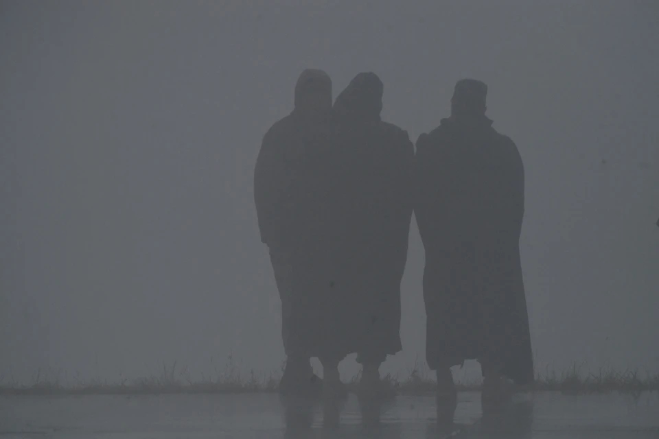 В ЛНР прогнозируют туман 1 апреля