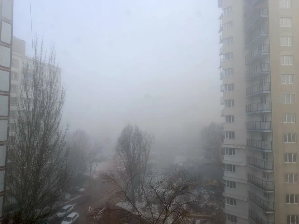 Плотный туман может задержаться местами в Самарской области на весь день.