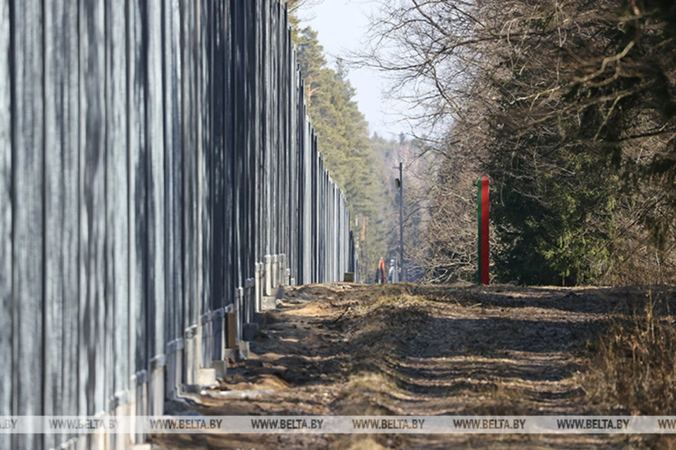 В Минлесхозе сообщили про отношение лесоводов Польши к забору в Беловежской пуще. Снимок носит иллюстративный характер. Фото: БелТА