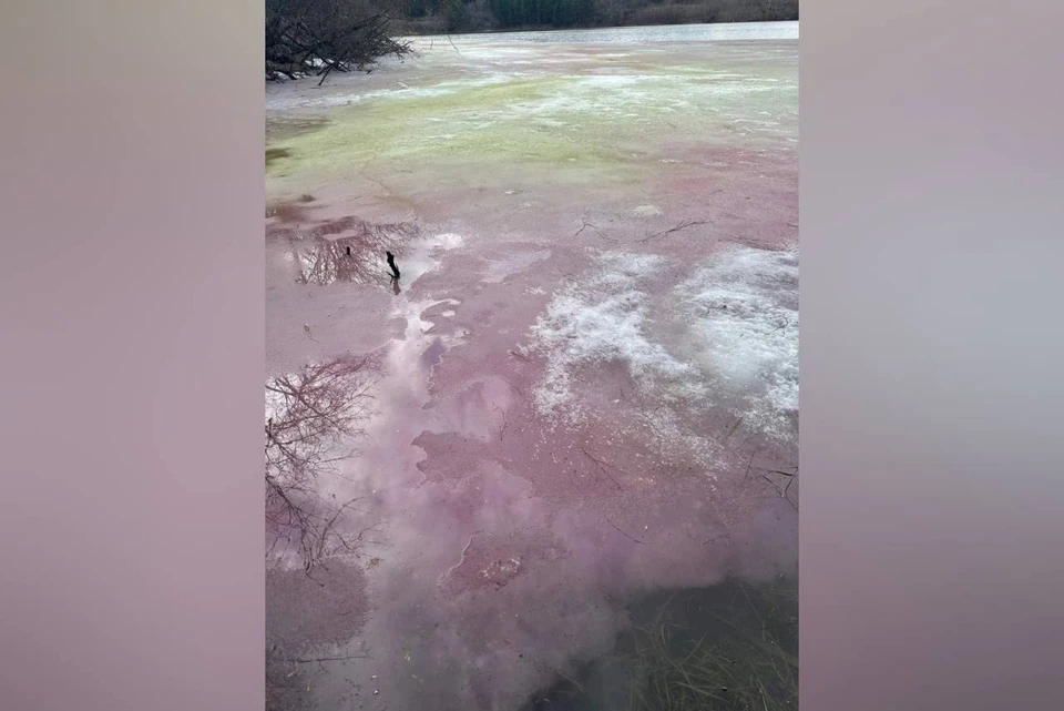 Цветной лед обнаружили на озере в Дзержинске. Фото: группа «ДТП и ЧП Дзержинск» во «ВКонтакте».
