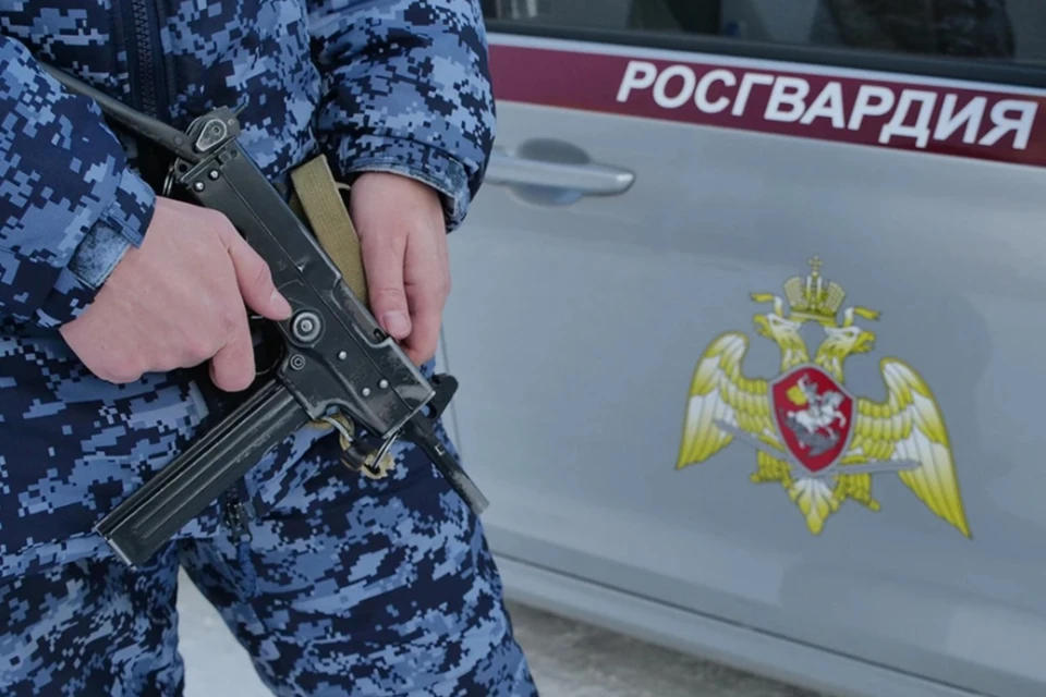 Росгвардейца, задержавшего напавшего на Чибиса, представят к награде