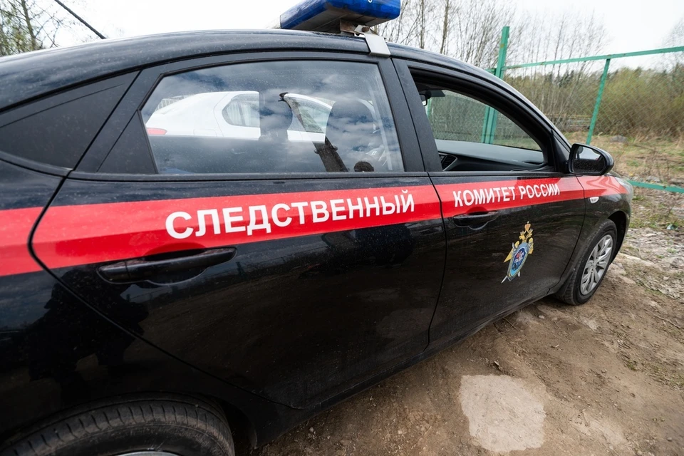 В Ленобласти следователи начали проверку.