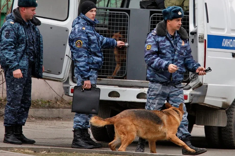 Кинологическая служба