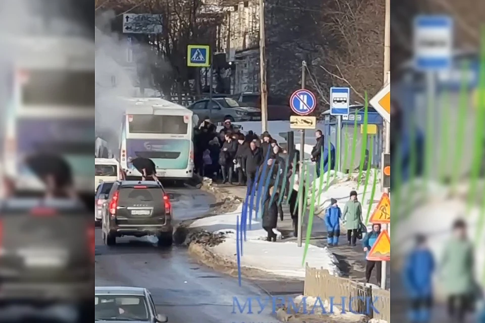 Все пассажиры были эвакуированы из салона, пострадавших нет. Перевозчик заменил сошедший с линии транспорт. Фото: t.me/groupmurmansk