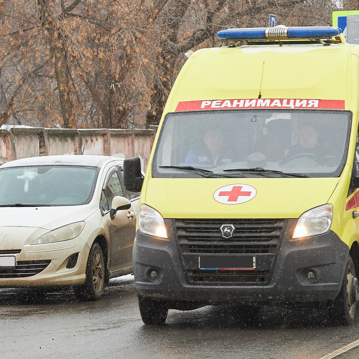 Трехлетний ребенок попал в реанимацию после посещения Приморского  океанариума: мальчик сорвался с пятиметровой высоты - KP.RU