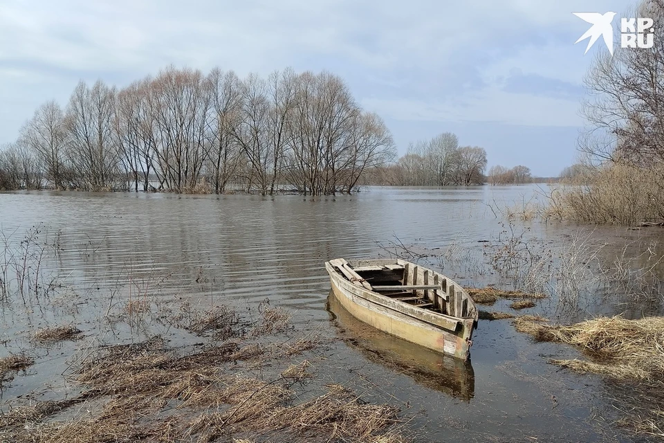 Уровень воды в Оке близ Рязани вырос за сутки еще на 19 см. Проня в Кораблинском районе понизилась на 110 см.