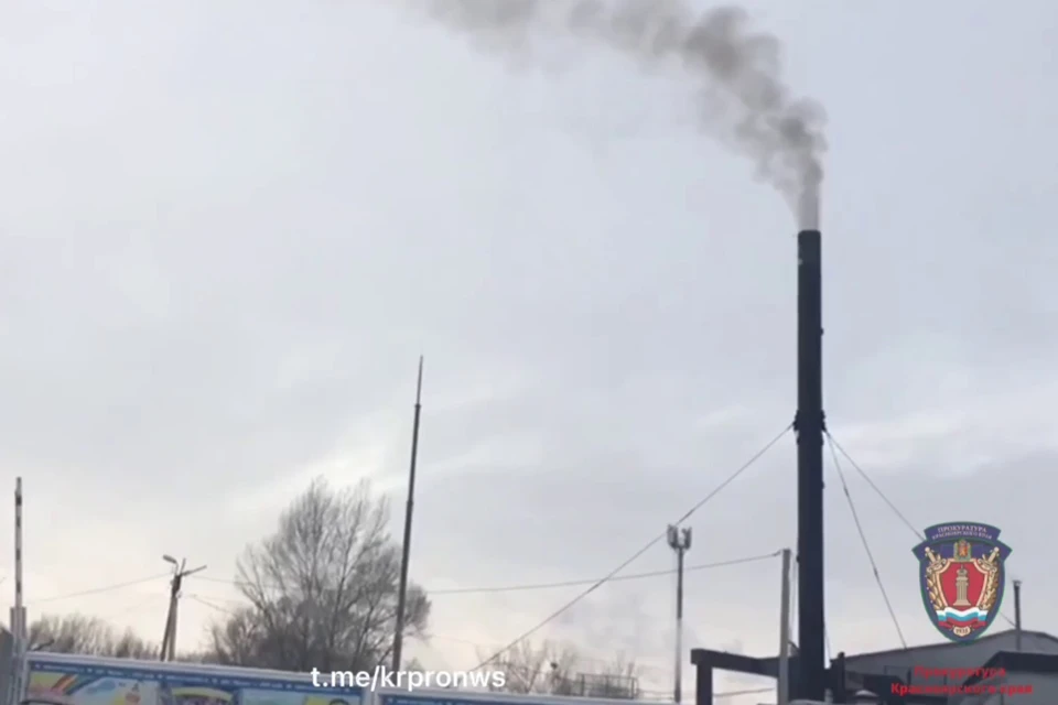 Скриншот: видео прокуратуры Красноярского края