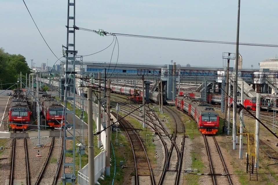 Водитель экстренно затормозил, но избежать столкновения не смог.