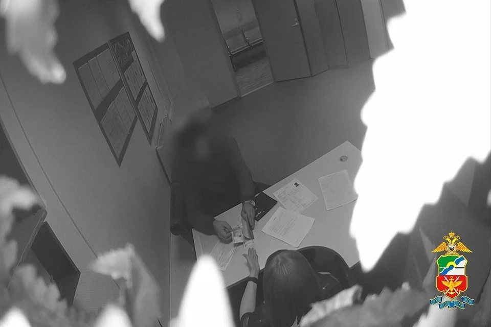 В Новосибирском аэропорту за попытку взятки задержали нелегального иностранца. Фото: стоп-кадр.