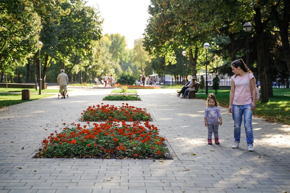 Обработке подлежат кустарники, 34 ели и семь туй.