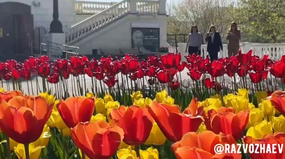 В городе весна.Фото: Telegram-канал Михаила Развожаева