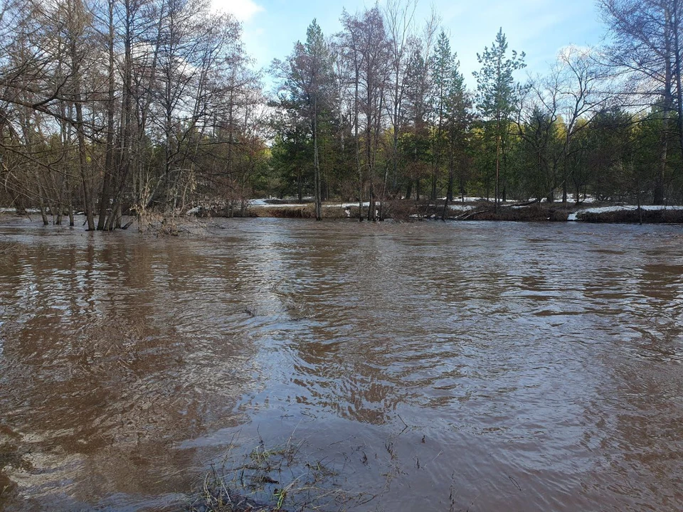 Река Боровка вернулась в русло. Фото дирекции заповедника