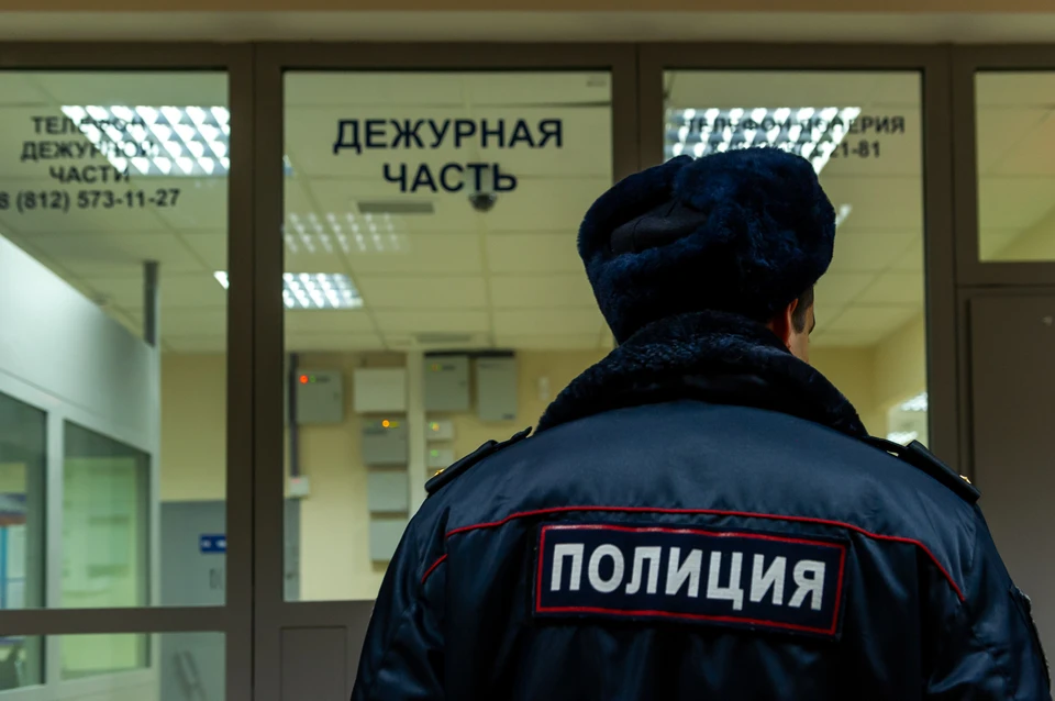 По данному факту полиция проводит проверку.