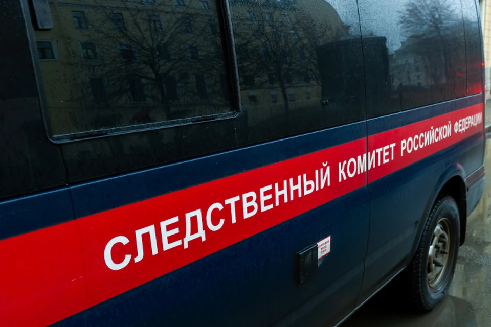 Возбуждено уголовное дело, ведется расследование.