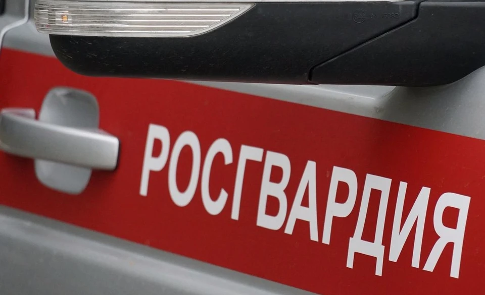 Фото: пресс-служба управления Росгвардии по Кировской области