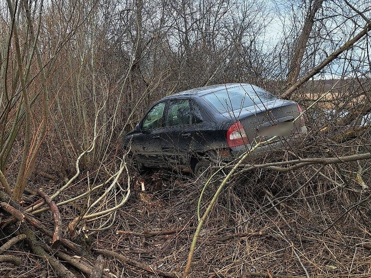 Автомобиль вылетел в кювет на трассе в Костромской области - KP.RU