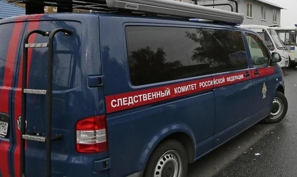 Жертвами злоумышленника стали две девочки 2013 и 2014 годов рождения.