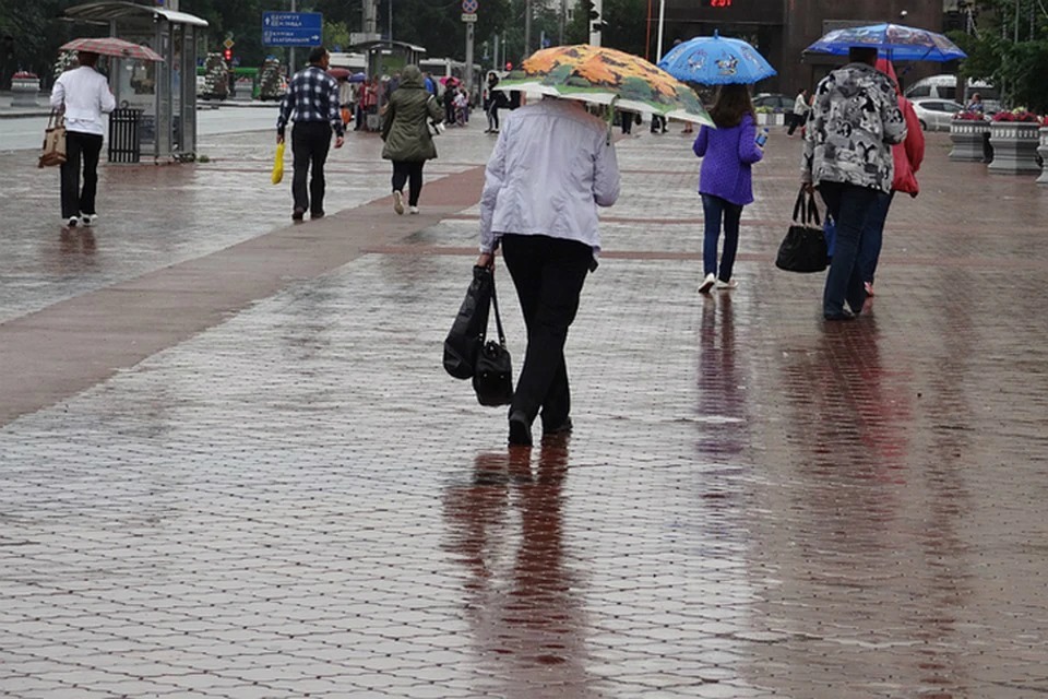 Дождливой будет пятница в Хабаровском крае