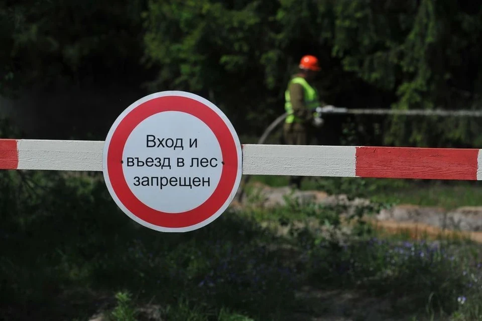 Особый противопожарный режим установили еще в 15 районах Новосибирской области.