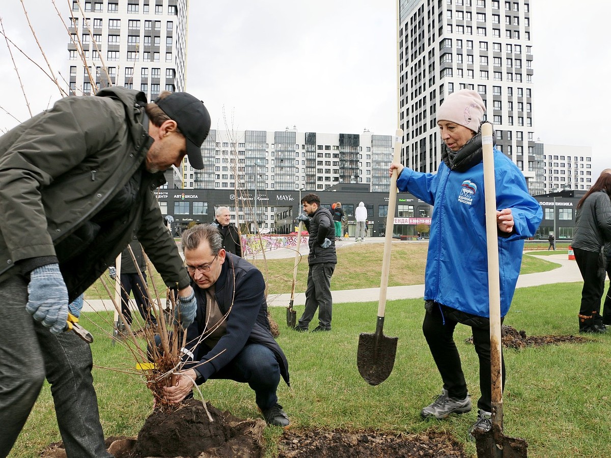 В Обнинске решили посадить 1000 деревьев - KP.RU