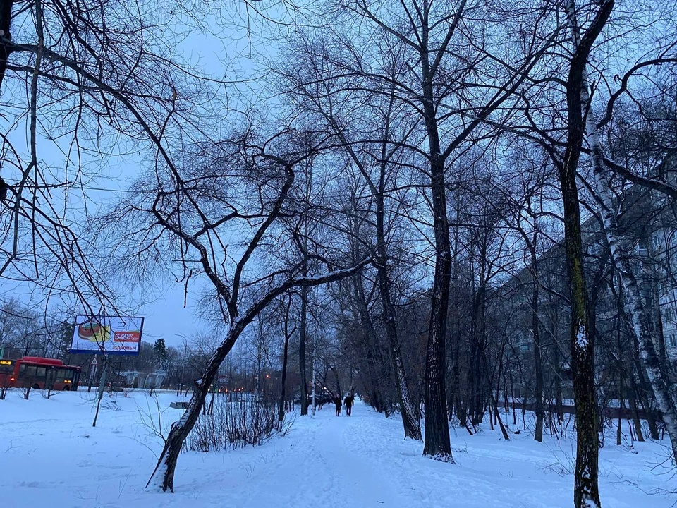 Мокрый снег и сильный дождь пройдут в Якутии во вторник