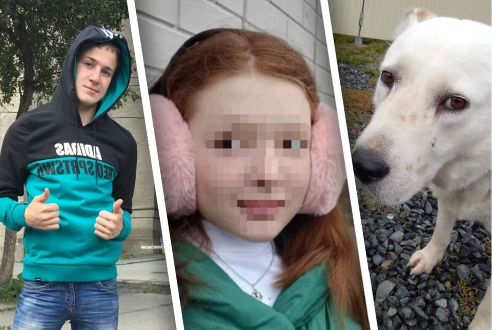Кирилл Красноумов сбил девочку с алабаем и попытался скрыться Фото: «ВКонтакте»