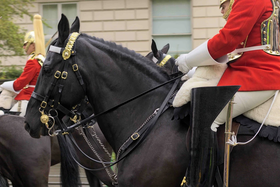 Несколько лошадей королевской гвардии выбежали на улицы города. Фото:соцсети