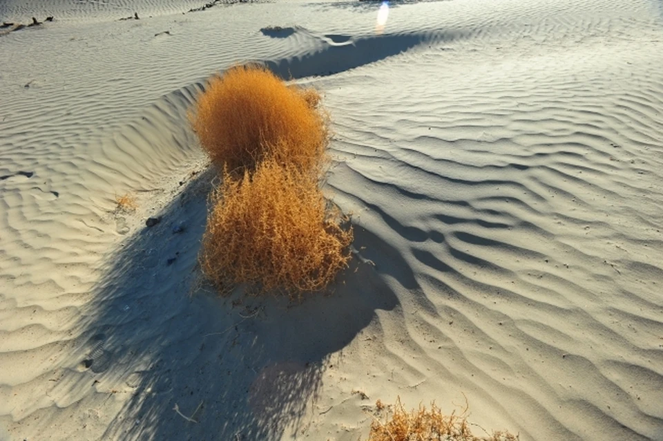 Песчаная пыль из Сахары могла попасть на полуостров вместе с ветром.