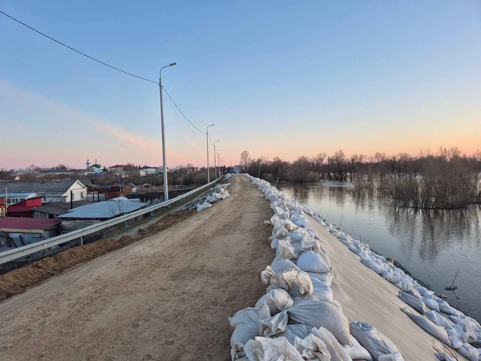 Фото: пресс-служба ГИБДД по Тюменской области.