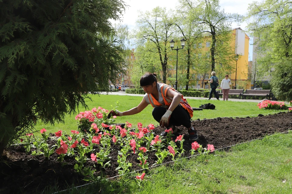 Все запланированные работы по высадке цветов будут завершены к третьей декаде июня. / Фото: Администрация Самары