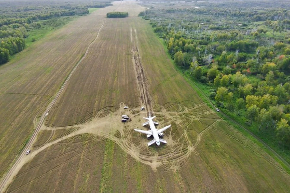 Airbus А320 экстренно сел на пшеничном поле под Новосибирском. Фото: пресс-служба «Уральских авиалиний»