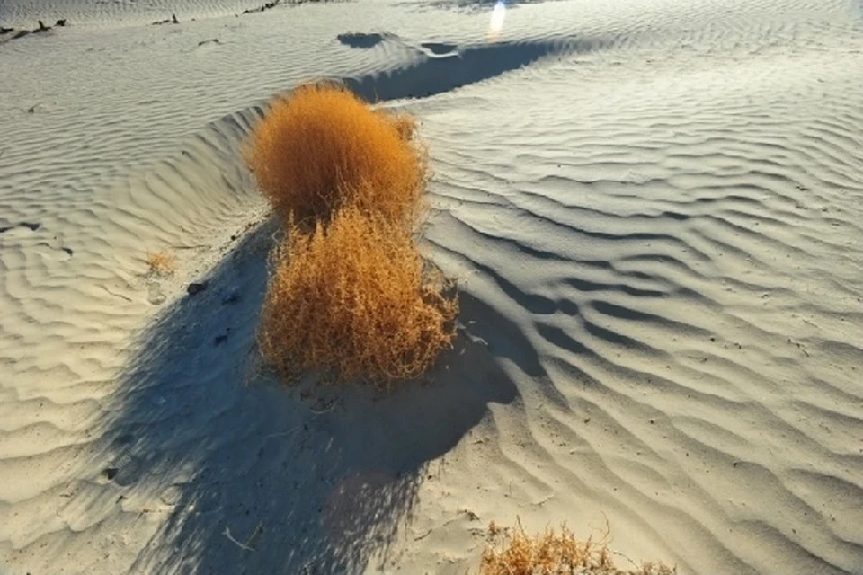 По некоторым прогнозам, шлейф песка и пыли из Сахары может растянуться до северо-запада России.