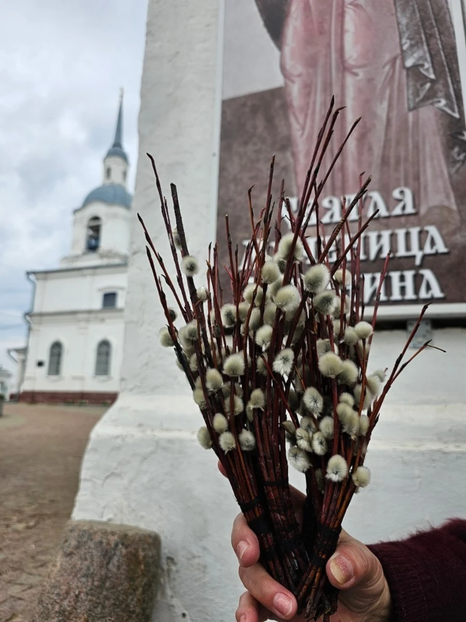 Перед Пасхой костромичи могут столкнуться с дефицитом вербы - KP.RU