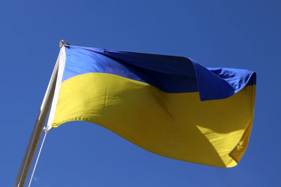 «Страна»: Верховный суд Украины открыл дело против Рады из-за выборов президента