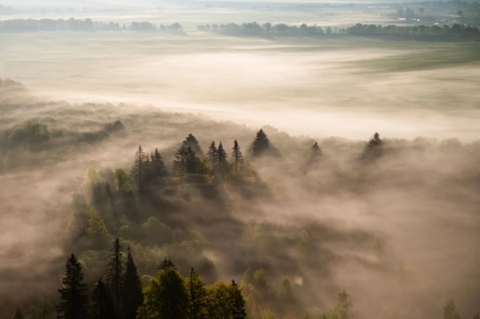 28 апреля на календаре