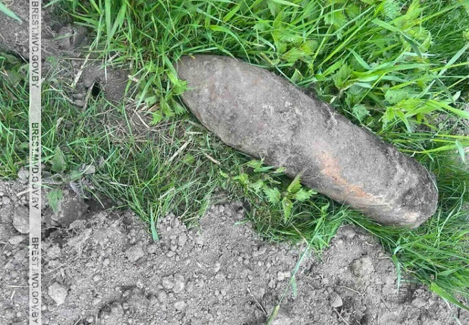 В Барановичском районе обнаружен снаряд вблизи ЛЭП. Фото: УВД Брестского облисполкома.