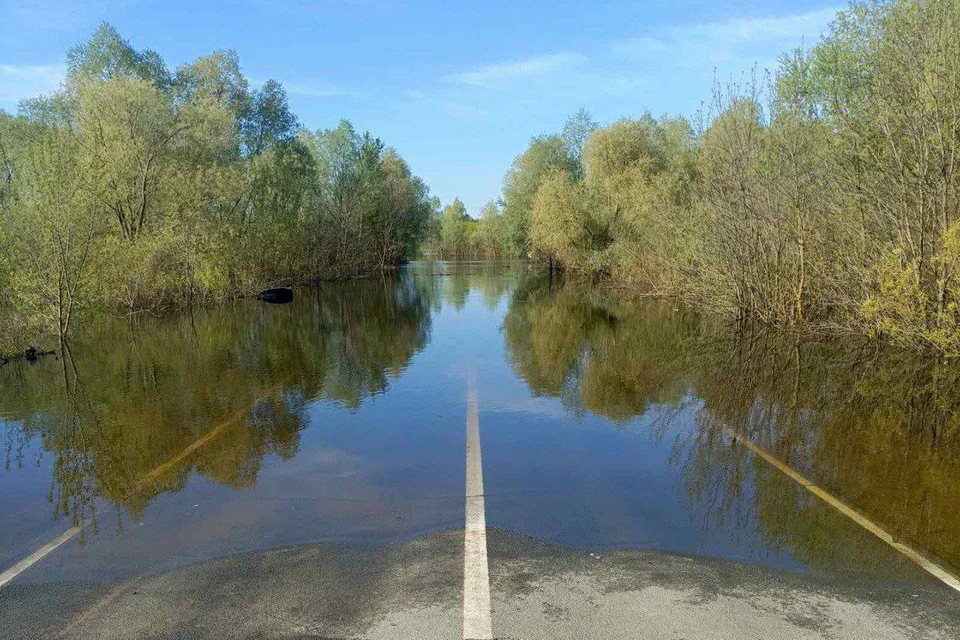 Спасатели вызволили семью из водного плена в Павловском районе.