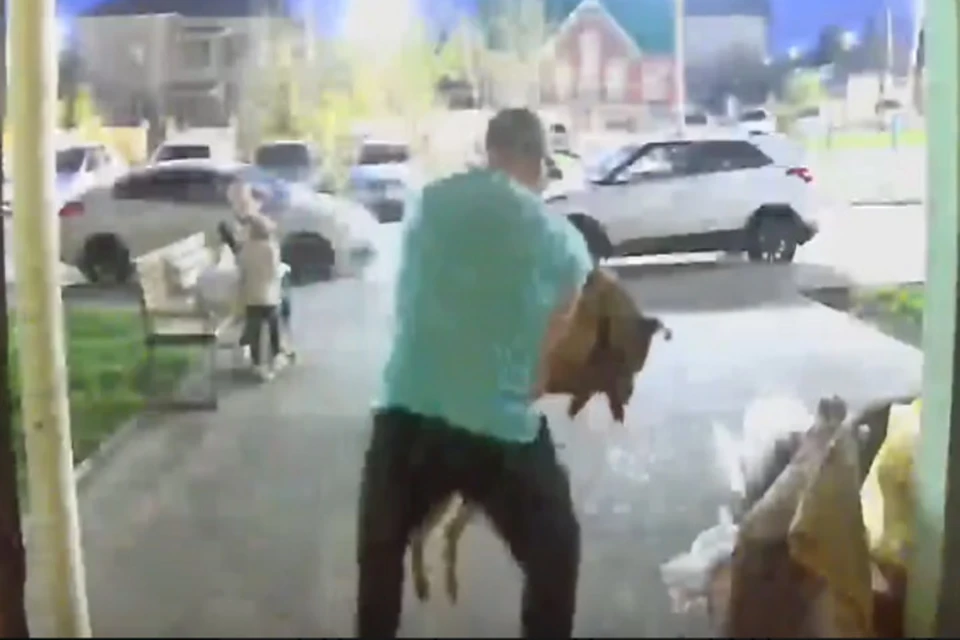 Житель Набережных Челнов признал свою вину в том, что зарезал собаку.