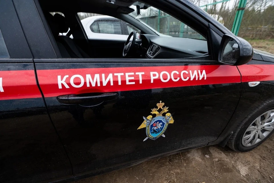СК проверит инцидент с нападением питбуля на женщину в Петербурге.