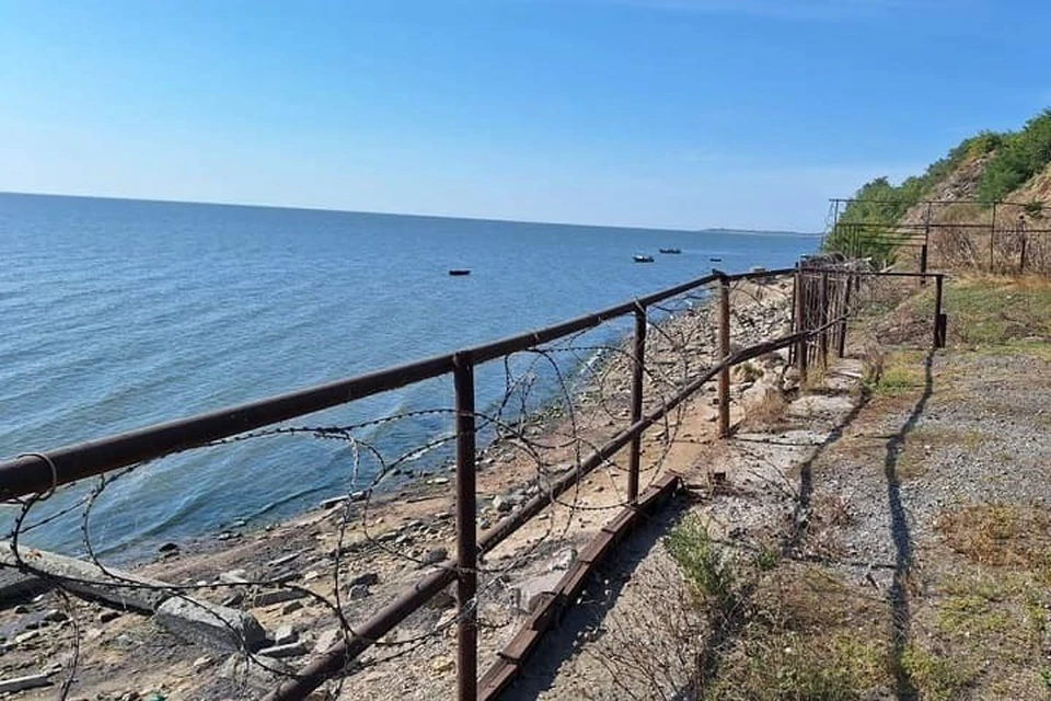 Ученые считают, что снимать запрет на вылов азовского судака нельзя.