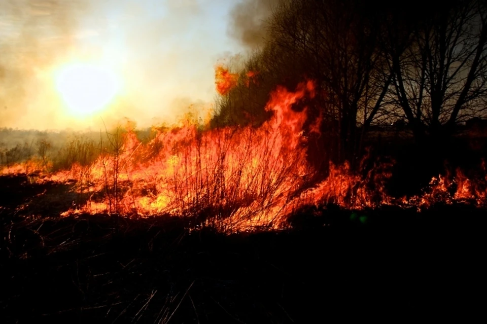 Ликвидировано 39 пожаров, без пострадавших