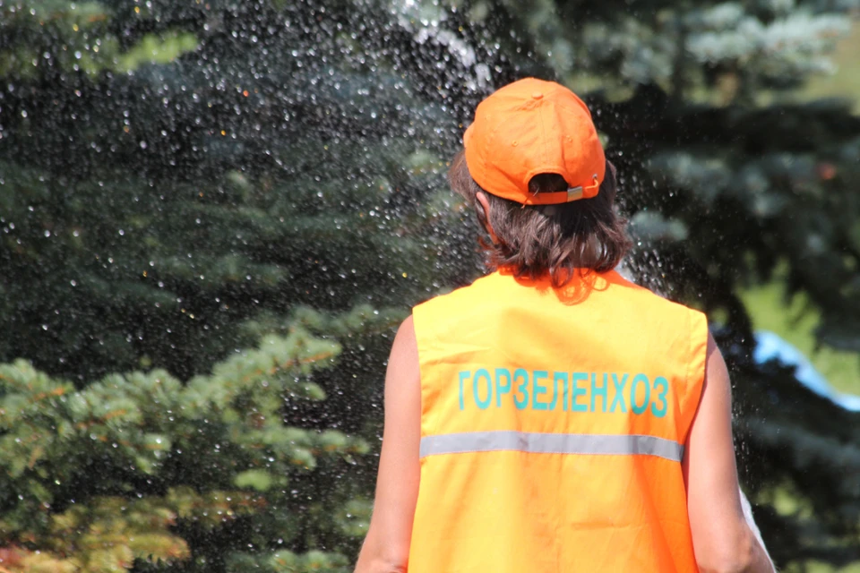 Директор проработала более трех лет.
