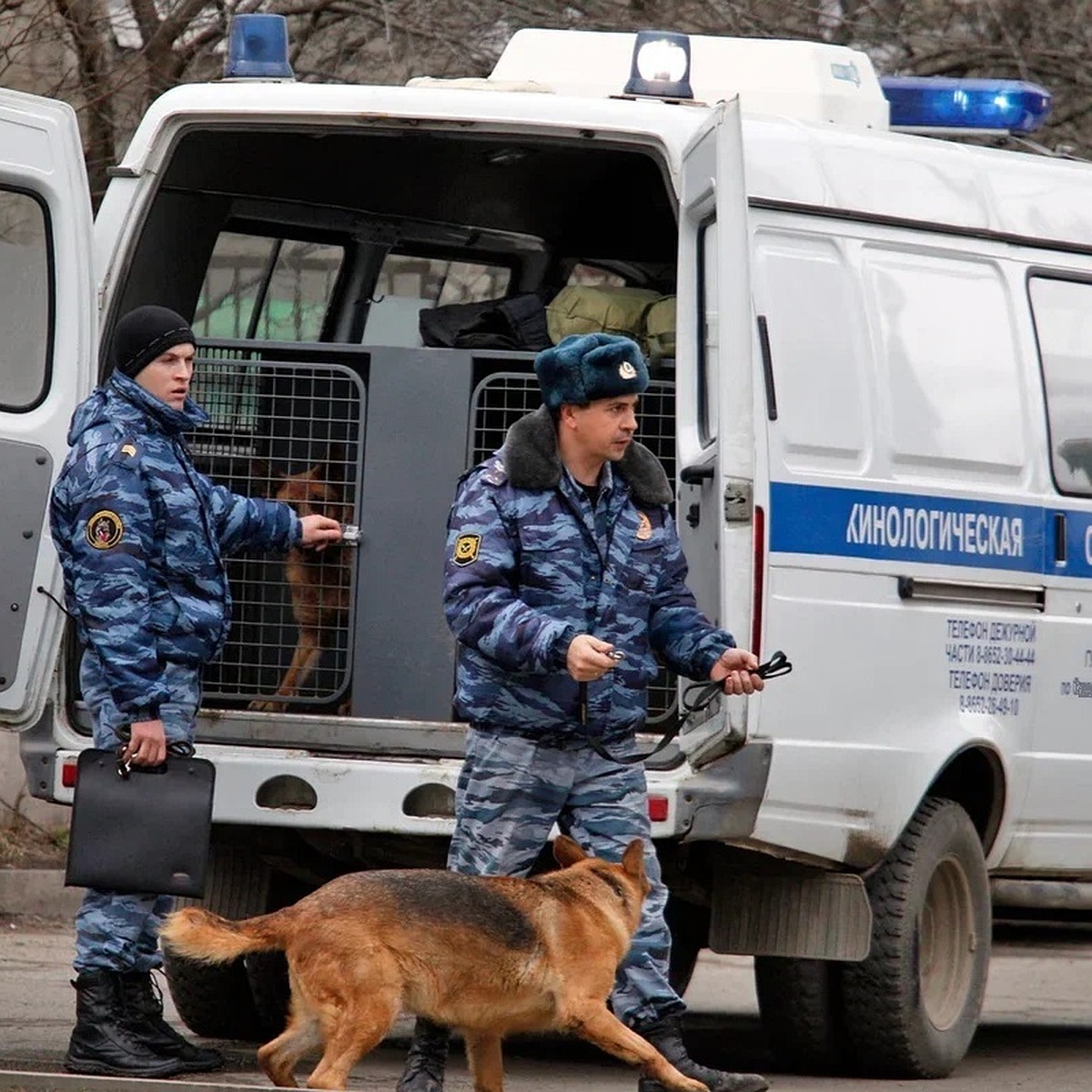 Забаррикадировали классы и сидели так несколько уроков». Школу в Пермском  крае оцепили из-за угрозы нападения - KP.RU