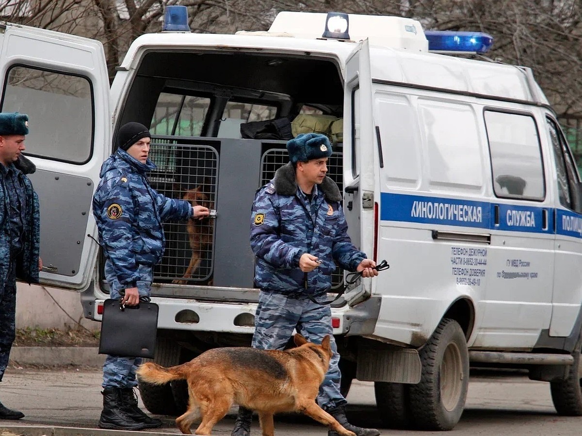 Забаррикадировали классы и сидели так несколько уроков». Школу в Пермском  крае оцепили из-за угрозы нападения - KP.RU