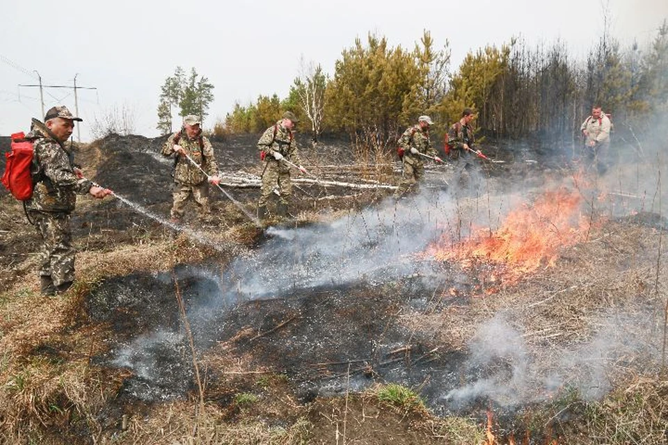 Чаще всего причиной пожара в лесах является человеческий фактор.