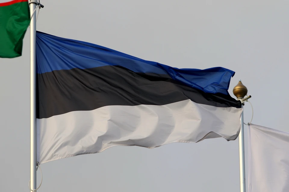 В Эстонии приняли закон об использовании активов РФ для восстановления Украины