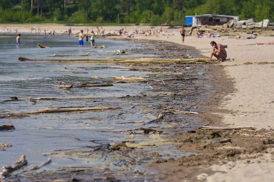 Процесс передачи Центрального пляжа Академгородка в собственность Новосибирска приостановлен.